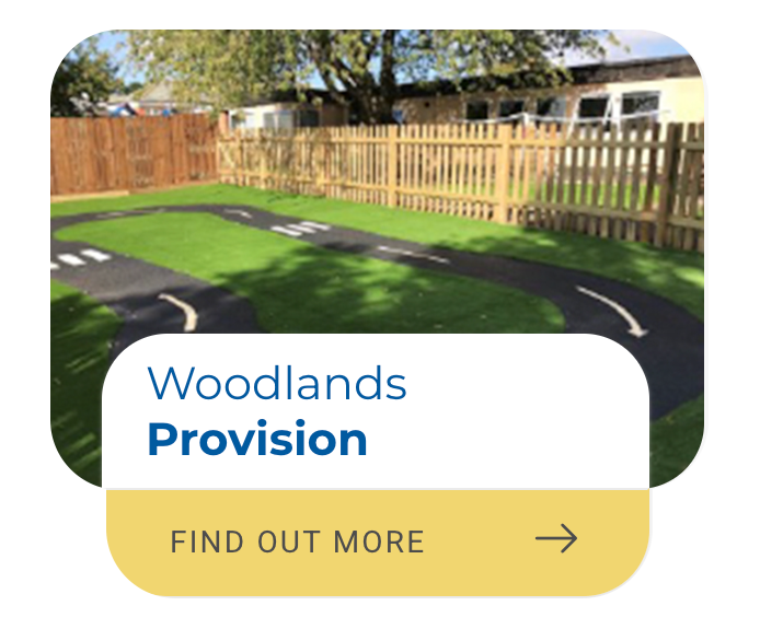 Woodlands Provision